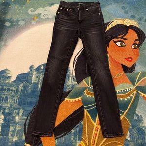 JCrew 9” High Rise Toothpick 24 EUC ASO M Markle